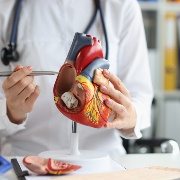 Cardiologists Medical Malpractice Insurance