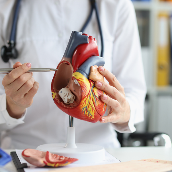 Cardiologists Medical Malpractice Insurance