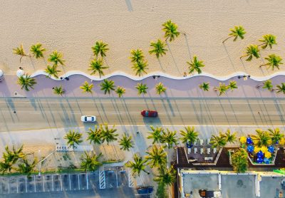 A vibrant Florida scene: cars navigate a palm-tree edged road, with a clear blue sky overhead.